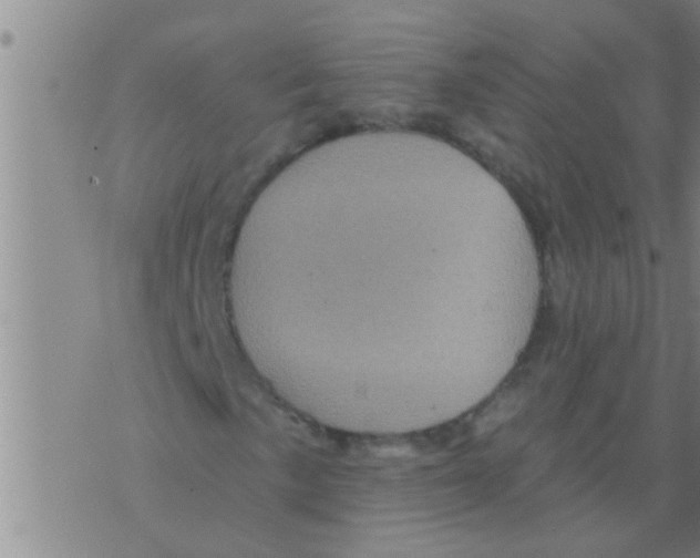 X0000075901057200610151810