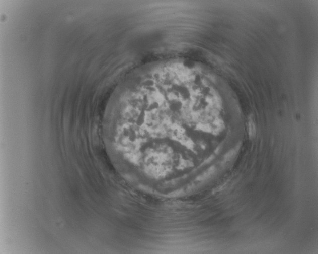 X0000075901059200610151810