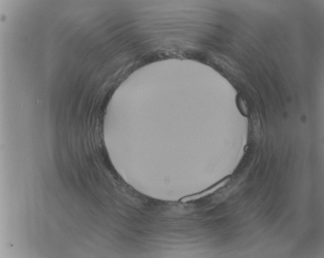 X0000075901060200610151810