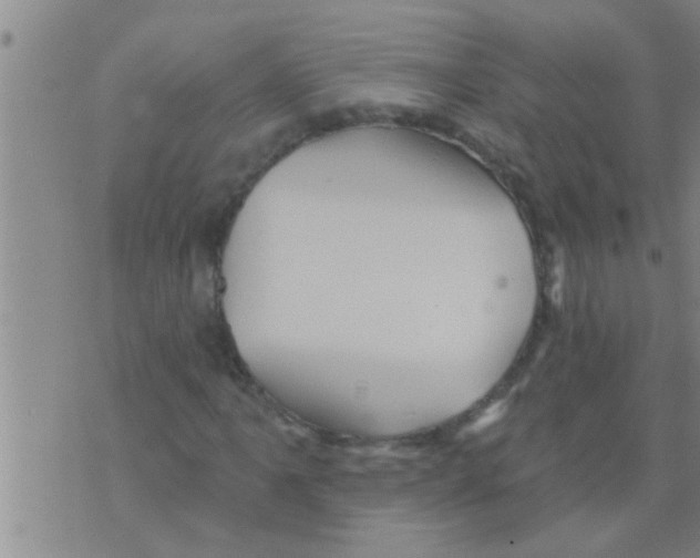 X0000075901061200610151810