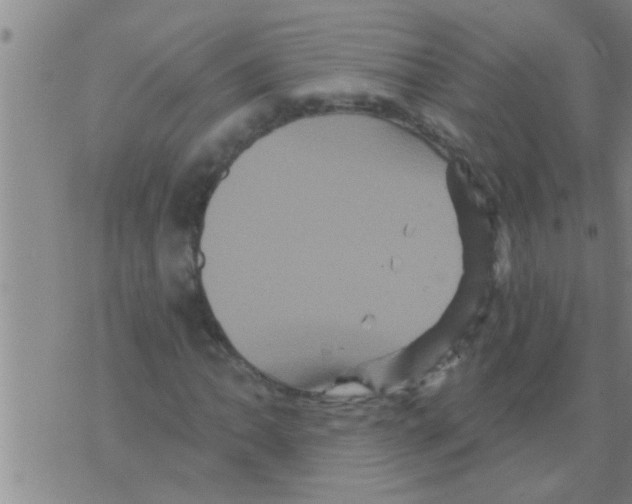 X0000075901062200610151810