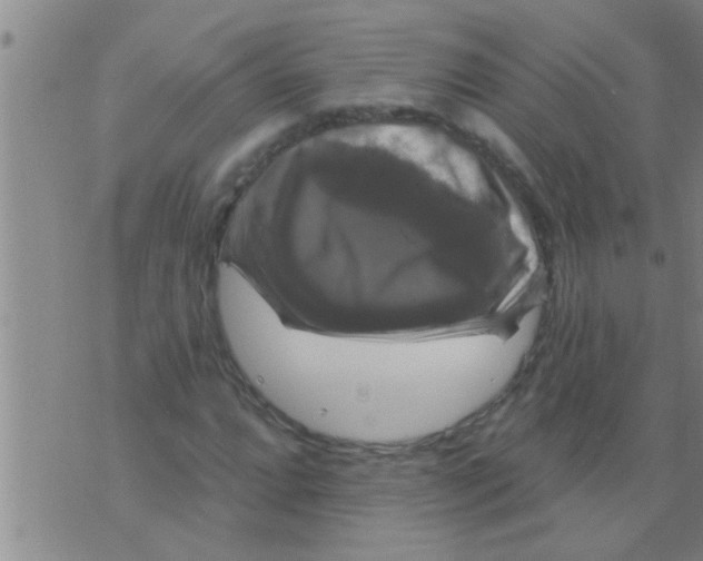 X0000075901064200610151810