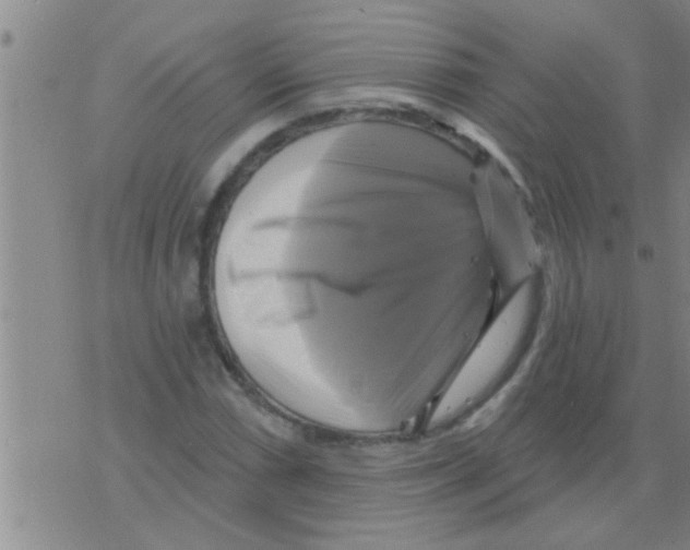 X0000075901066200610151810