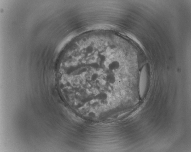 X0000075901067200610151810