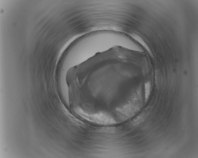 X0000075901068200610151810