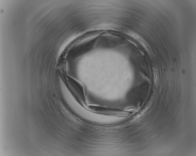 X0000075901069200610151810