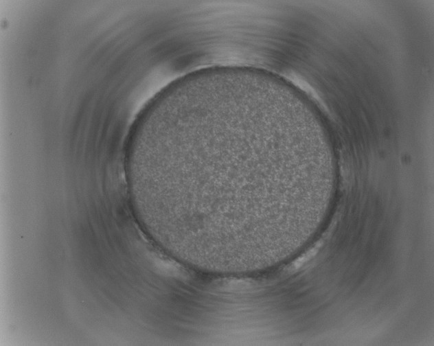 X0000075901070200610151810