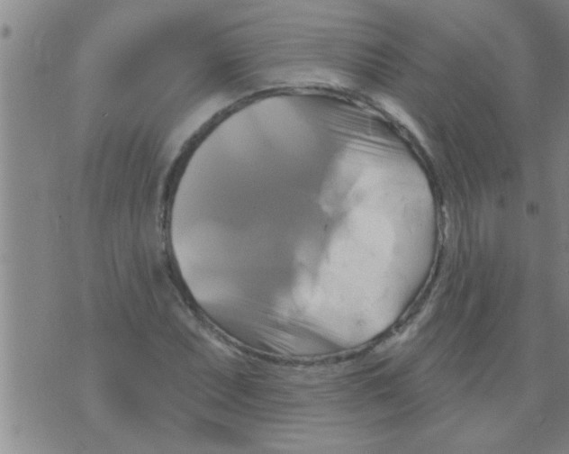 X0000075901071200610151810