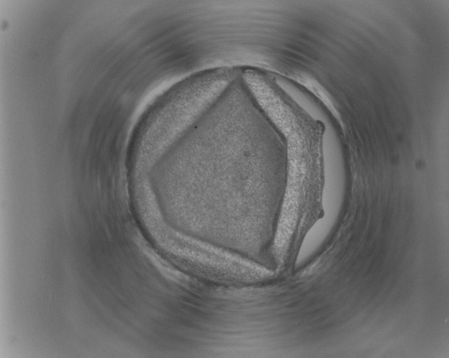 X0000075901072200610151810