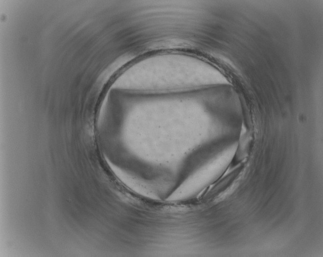 X0000075901073200610151810