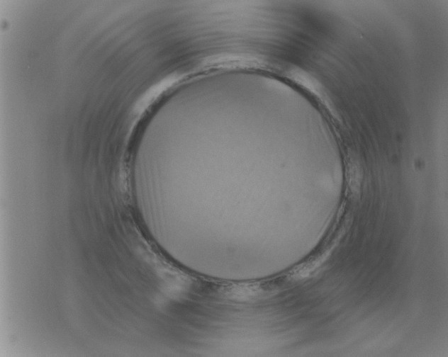 X0000075901074200610151810