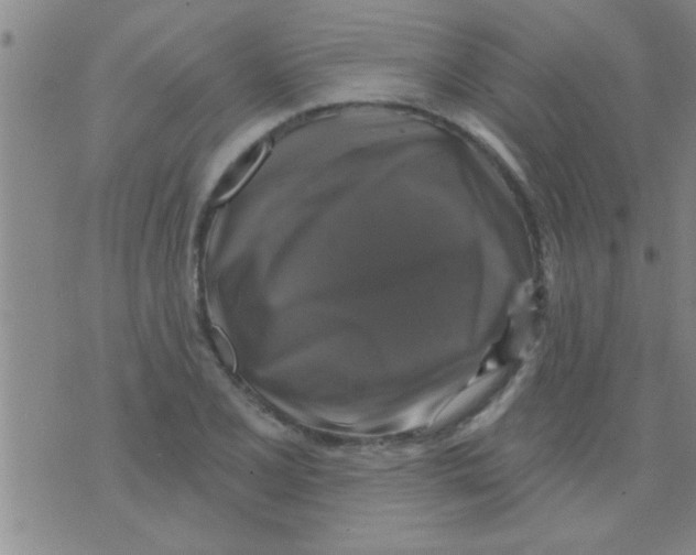 X0000075901077200610151810