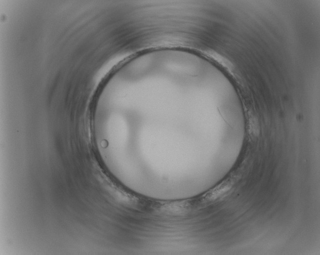 X0000075901078200610151810