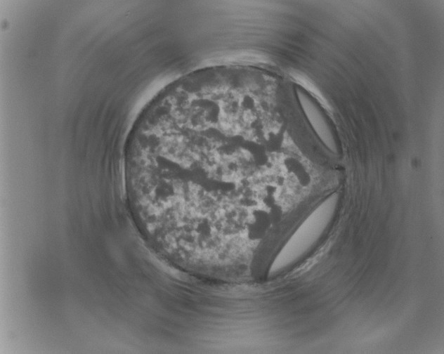 X0000075901079200610151810