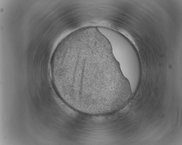 X0000075901080200610151810