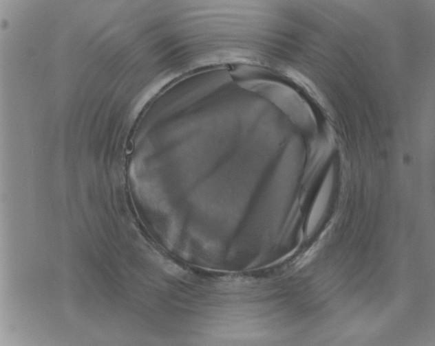 X0000075901081200610151810