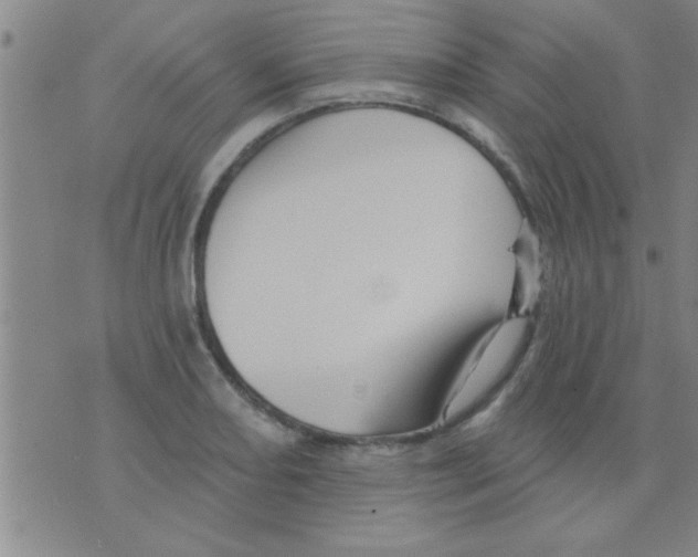 X0000075901082200610151810