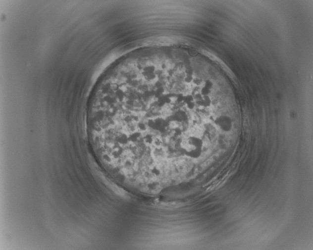 X0000075901083200610151810