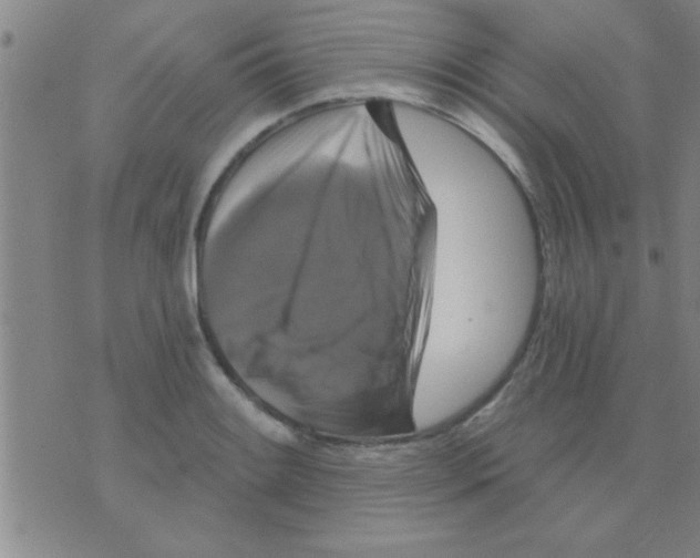 X0000075901084200610151810