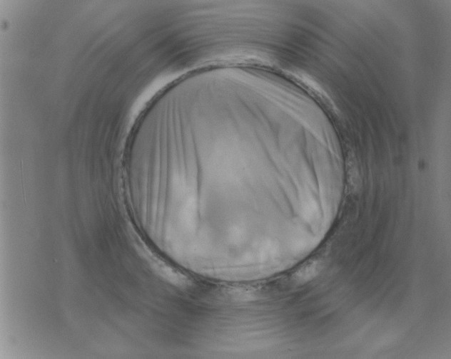 X0000075901086200610151810