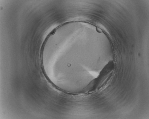 X0000075901087200610151810