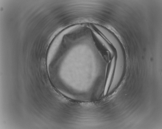 X0000075901089200610151810