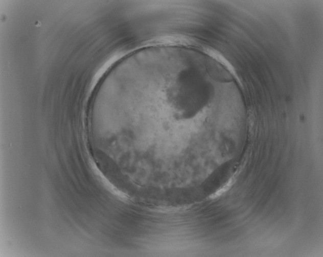 X0000075901091200610151810