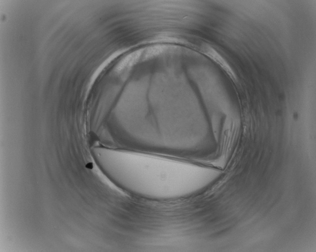 X0000075901092200610151810