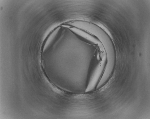 X0000075901093200610151810