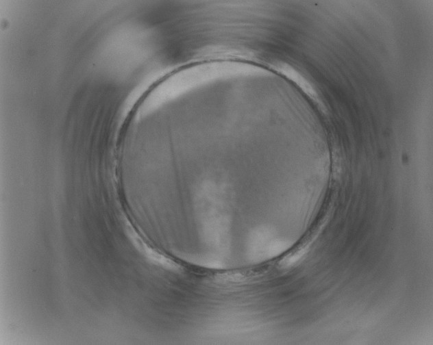 X0000075901094200610151810