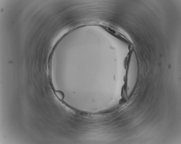 X0000075901095200610151810