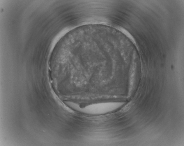 X0000075901096200610151810