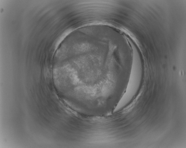 X0000075901097200610151810