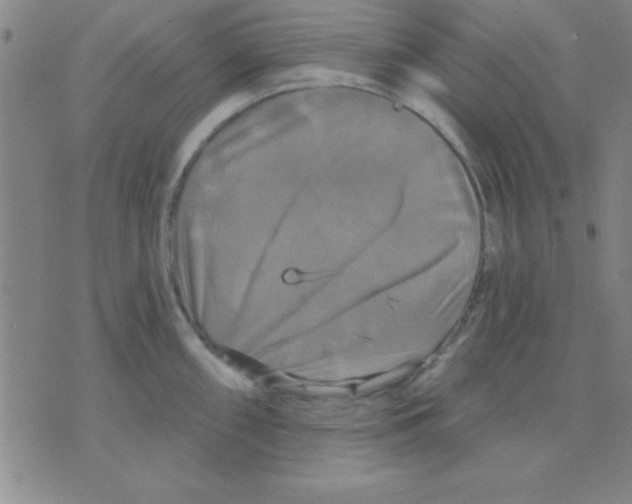 X0000075901098200610151810