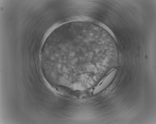 X0000075901099200610151810