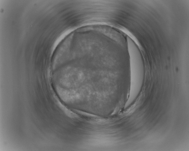 X0000075901101200610151810