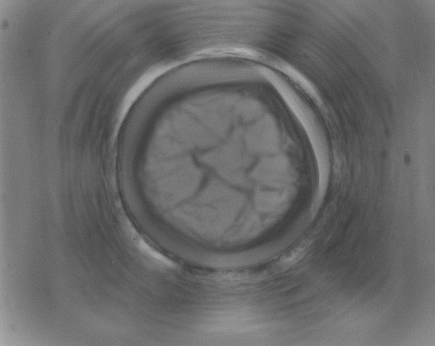 X0000075901102200610151810