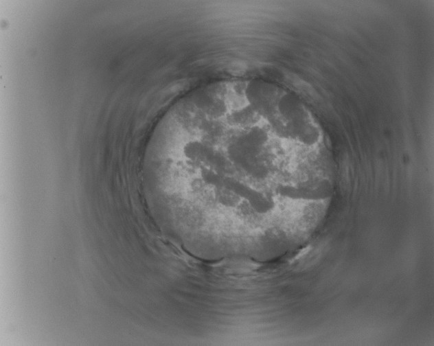 X0000075901105200610151809