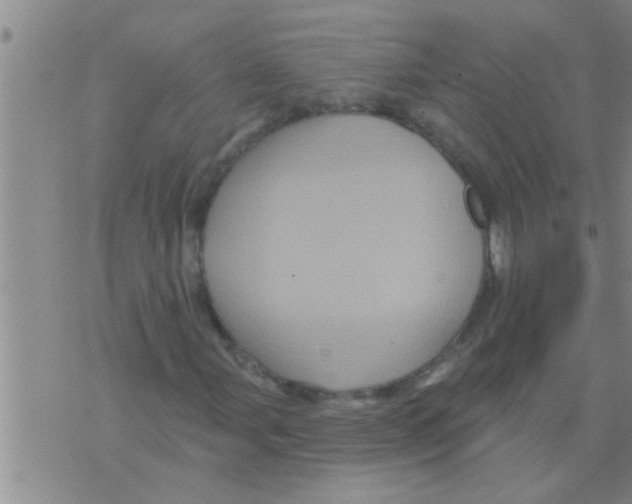 X0000075901107200610151809