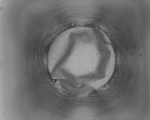 X0000075901109200610151809