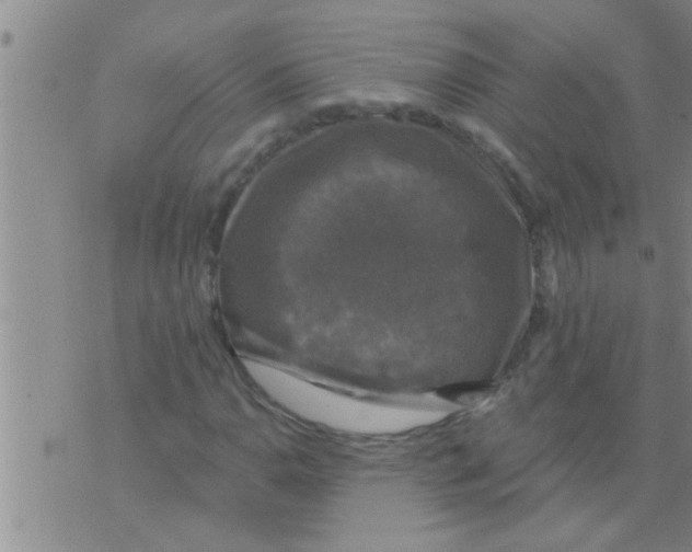 X0000075901110200610151809