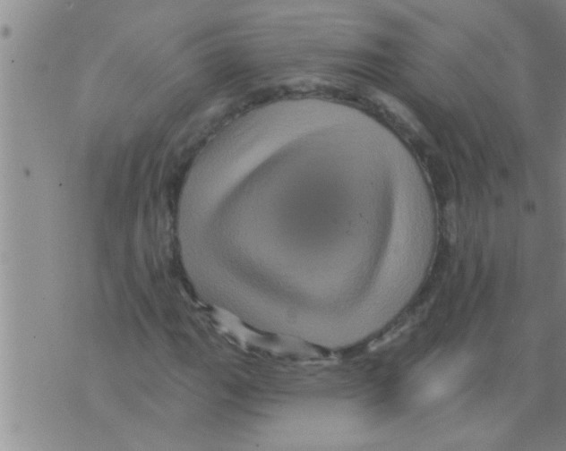 X0000075901111200610151809