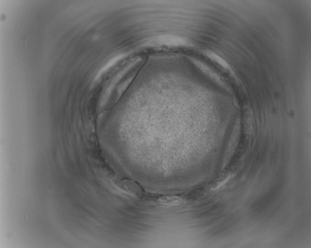 X0000075901112200610151809