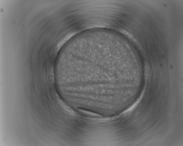 X0000075901113200610151809