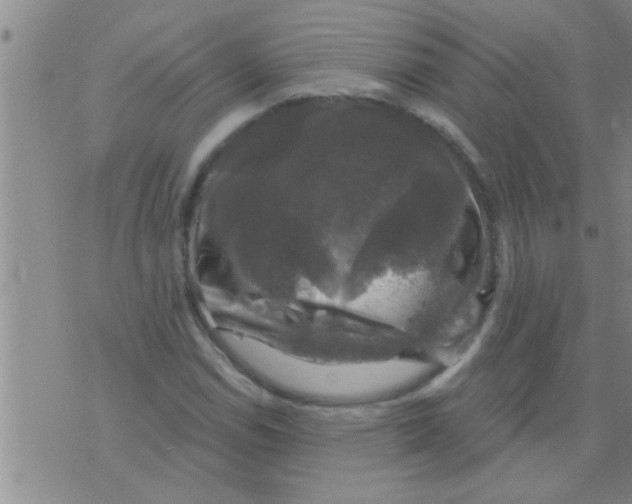 X0000075901114200610151809