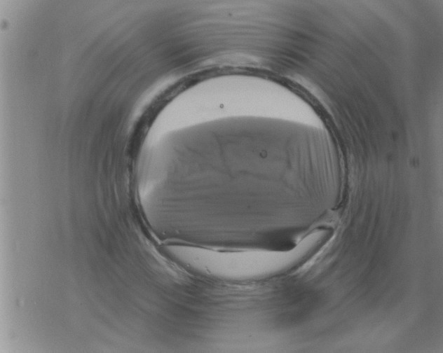 X0000075901115200610151809