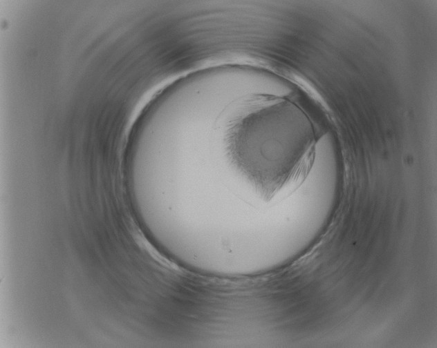 X0000075901116200610151809