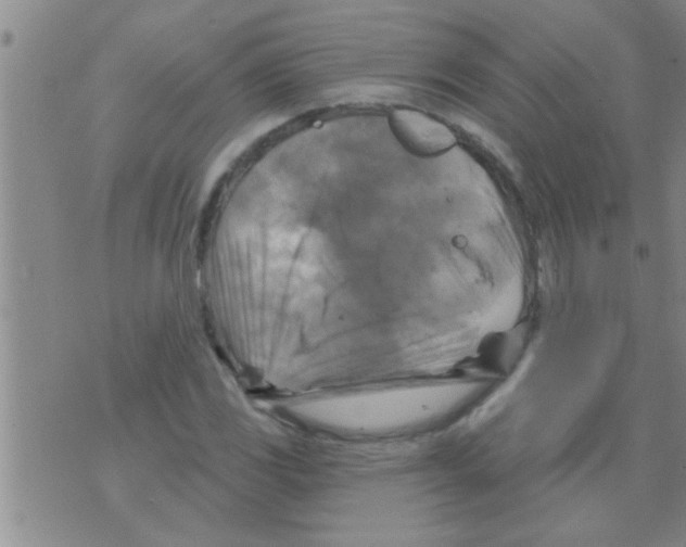 X0000075901117200610151809