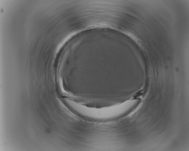 X0000075901118200610151809