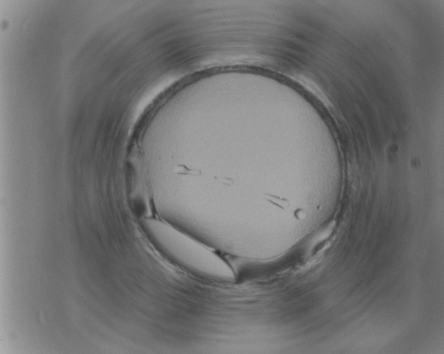 X0000075901119200610151809